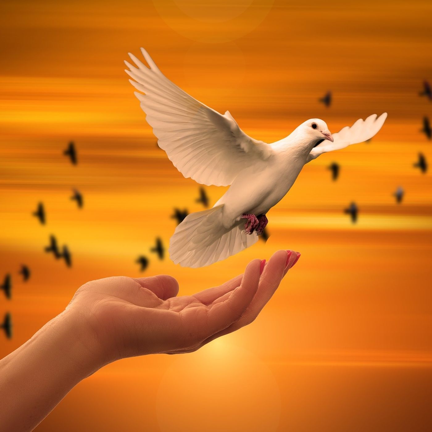 Forgiveness and Spiritual Enlightenment!