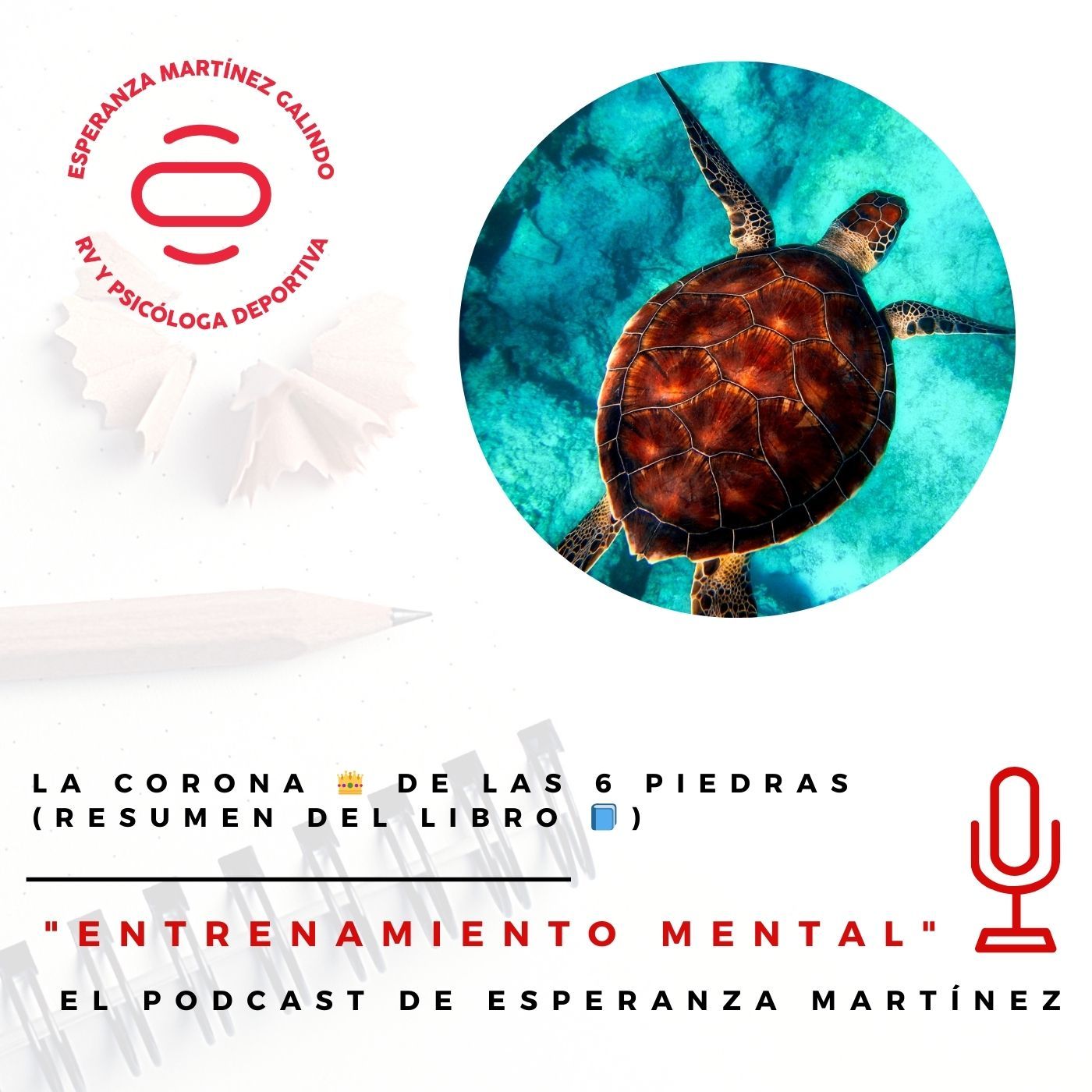 La CORONA 👑 de las 6 PIEDRAS (Resumen del libro 📘)