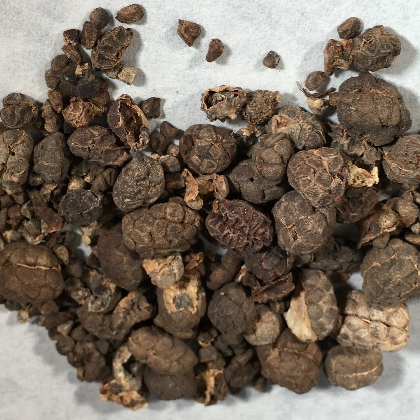 Sperb\'s Herbs Podcast