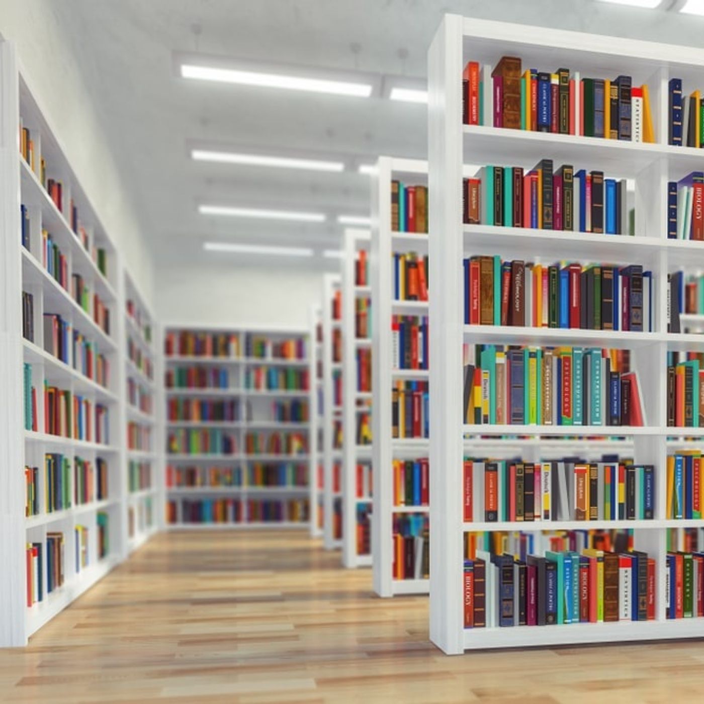 DIA DAS BIBLIOTECAS 3º ep  Curso 2023-2024 episode artwork