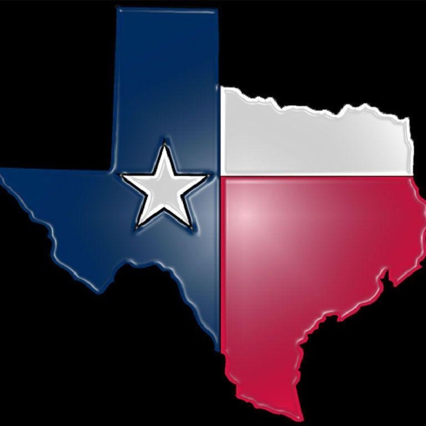 Episode 1223 - TEXIT Movement to Counter Biden's America & State Legislatures Eye Sound Money Reforms episode artwork