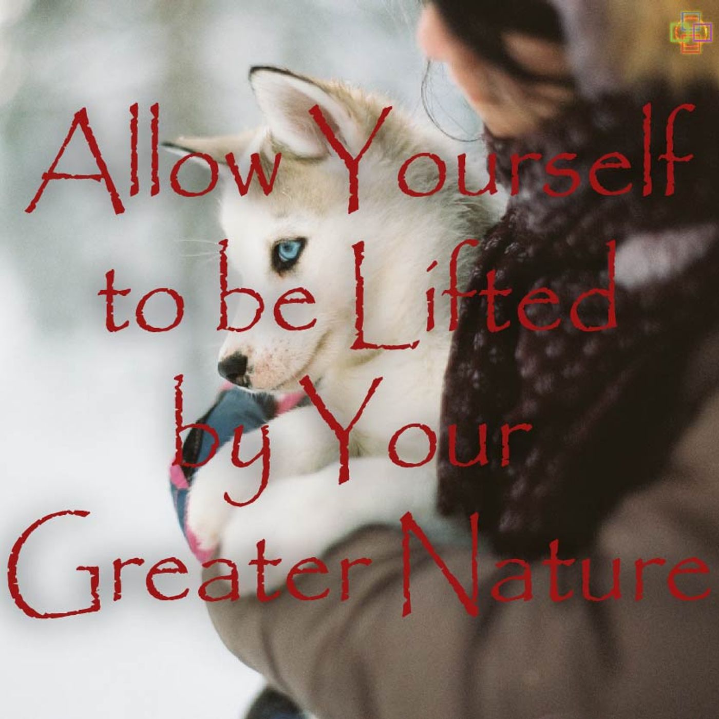 Allow Yourself to be Lifted by Your Greater Nature episode artwork