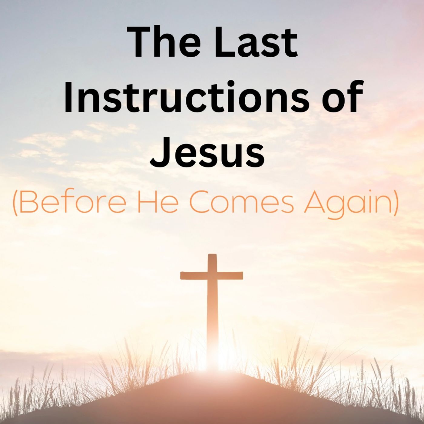 "The Last Instructions of Jesus" (Before He Comes Again) by Brian Peart episode artwork