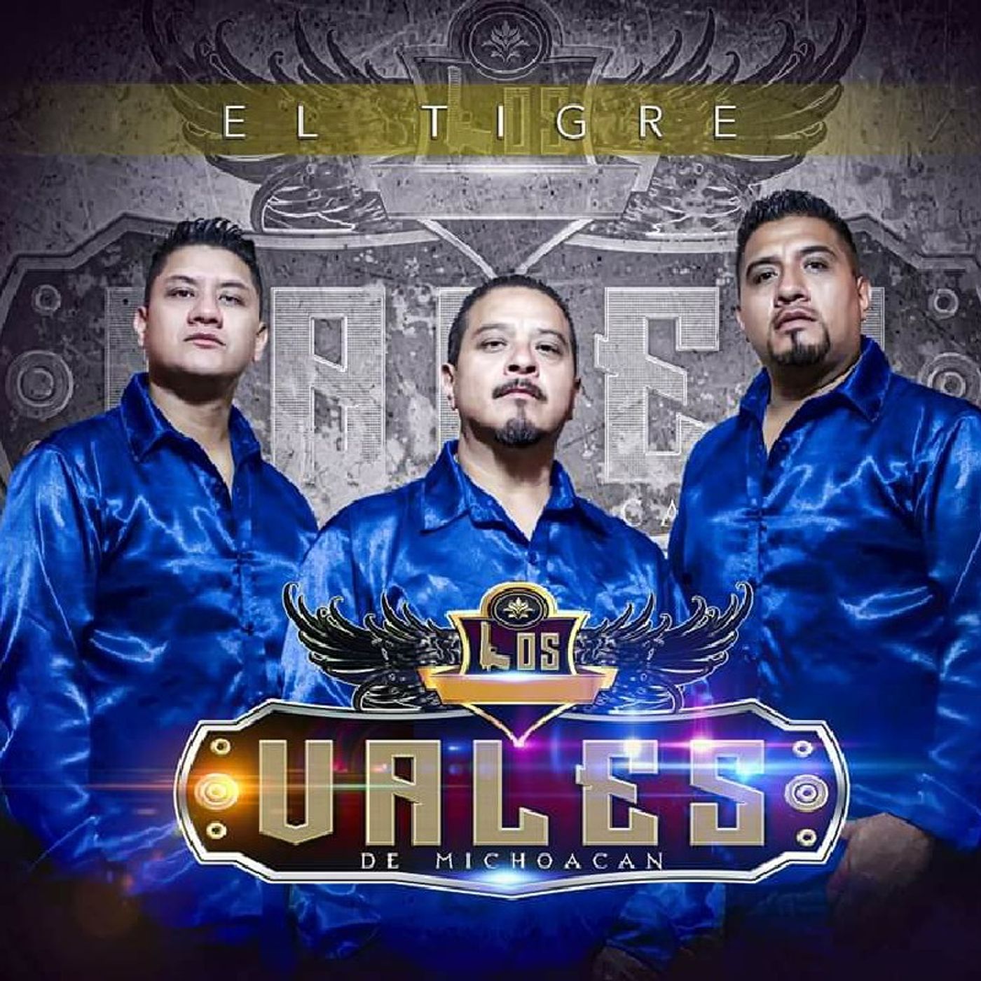 EL JANDO LOS VALES DE MICHOACAN episode artwork