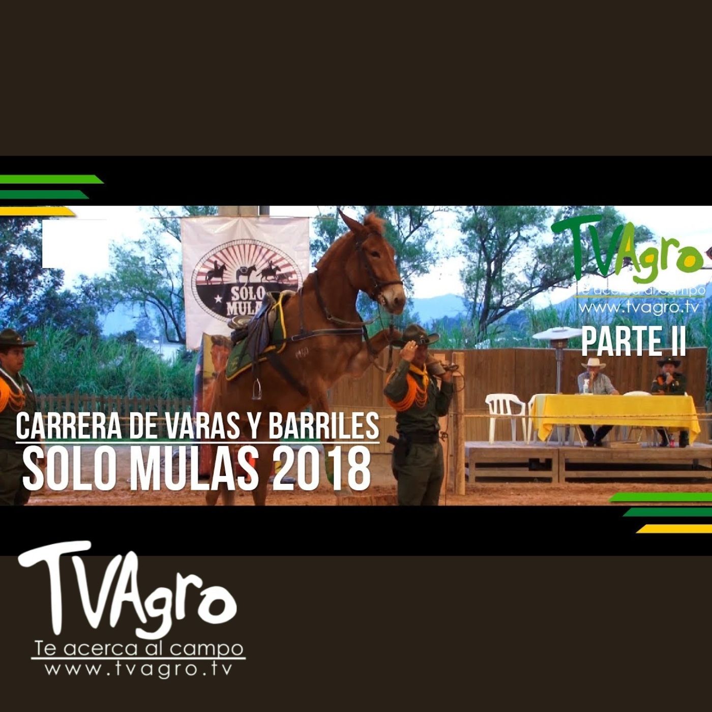 TV AGRO