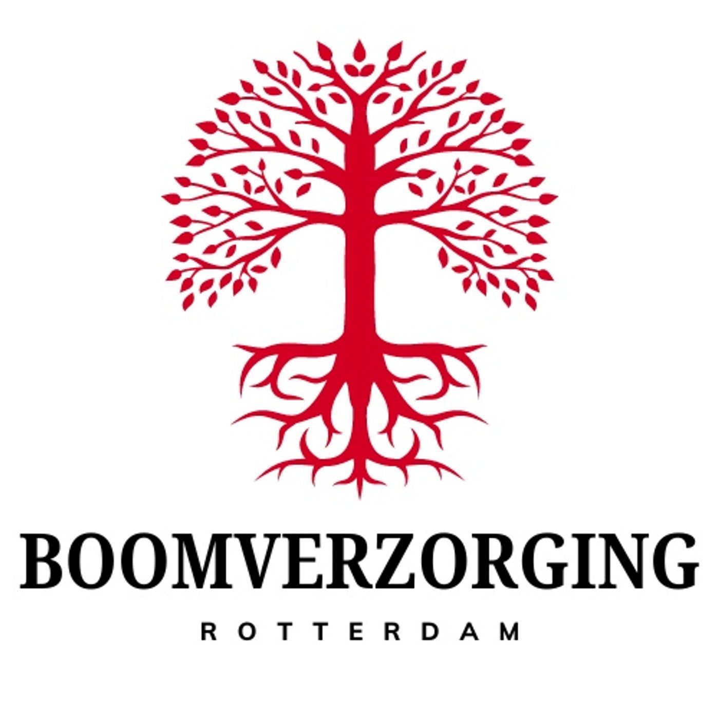 Boomverzorging Rotterdam podcast artwork