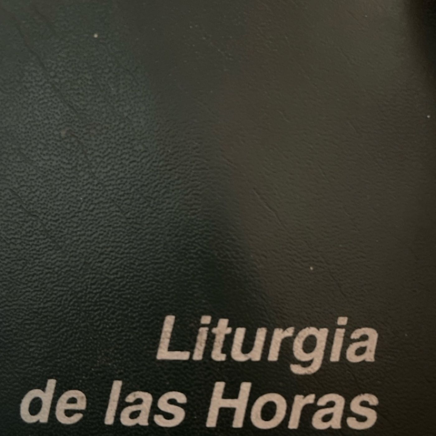 Un Católico En El Mundo.