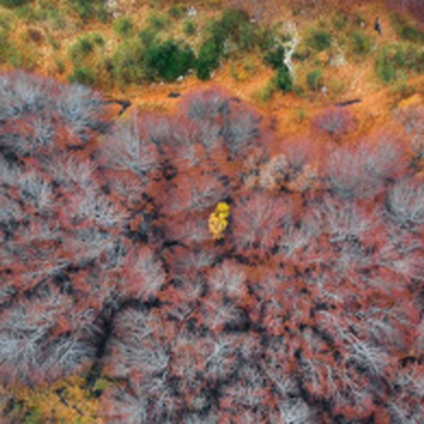 Current Live Forest Wildfire & Smoke Map Oklahoma Today – Where Are Fires Now?