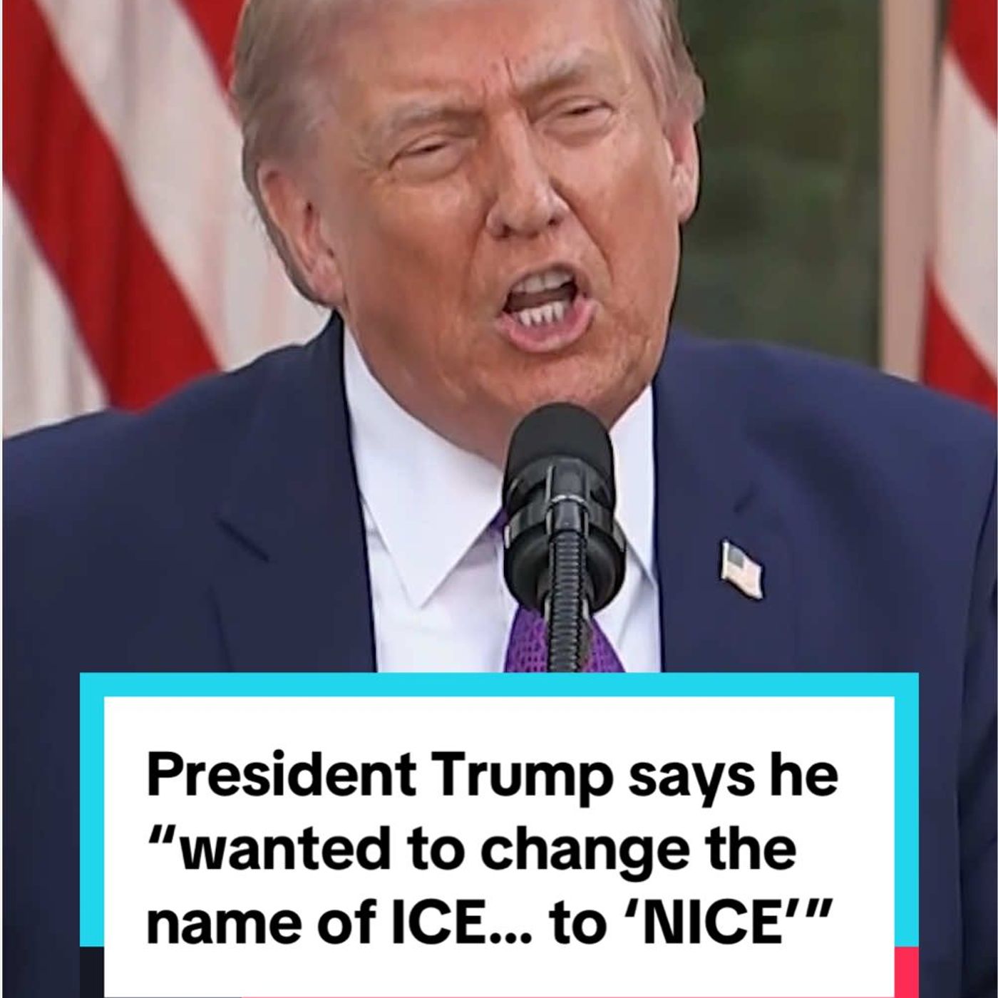 President Trump said he wanted to change the name of ICE to NICE because ICE is a tough name during a speech at the Rose Garden Club Dinner episode artwork