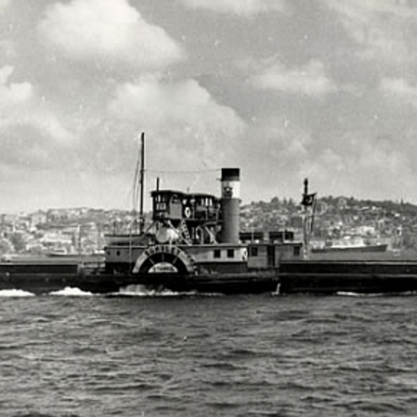 Tuğşah Bilge - Motivasyon Hikayeleri