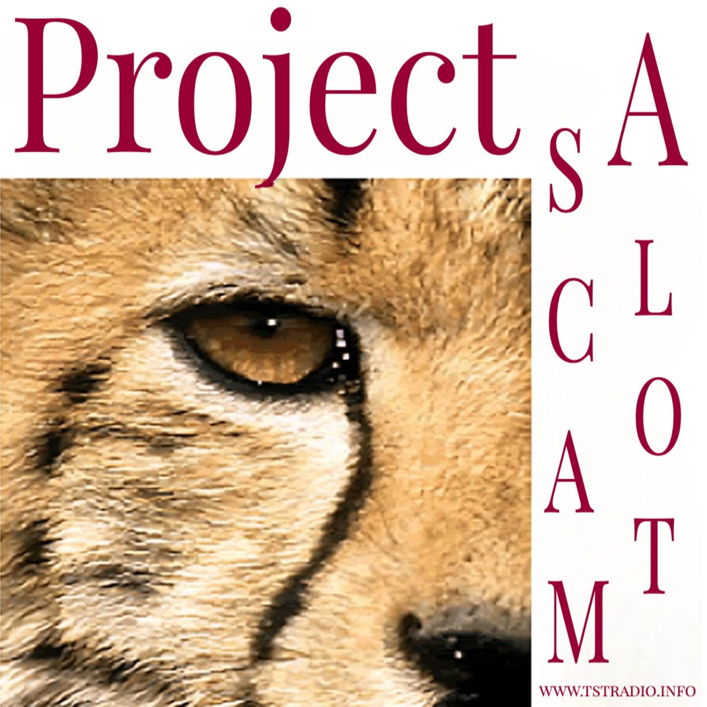 Project Scam A Lot: Reptilians, Stargates & Psychosis (March 18, 2026)