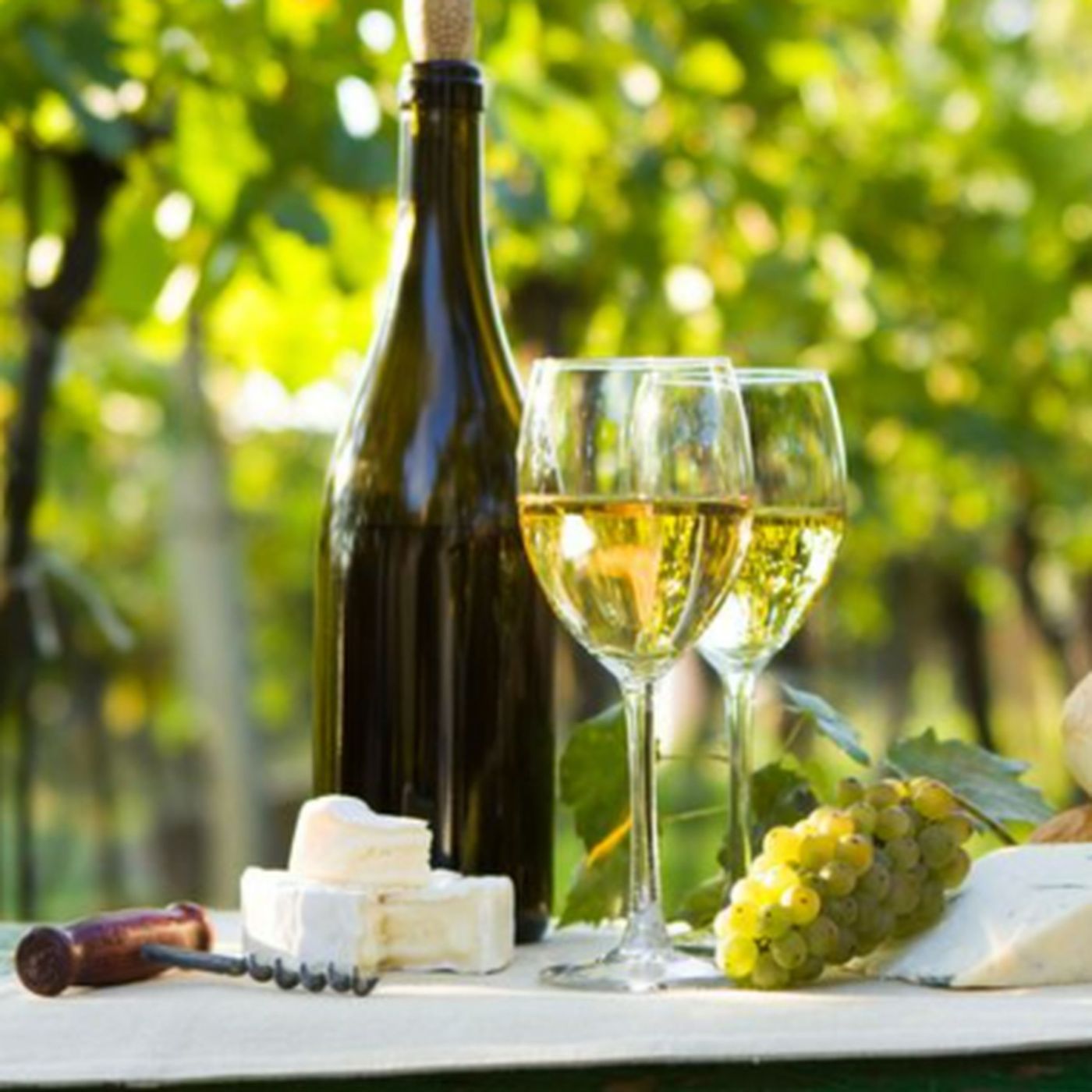 What Makes a Chardonnay Dry and Buttery? A Guide to This Rich White Wine episode artwork
