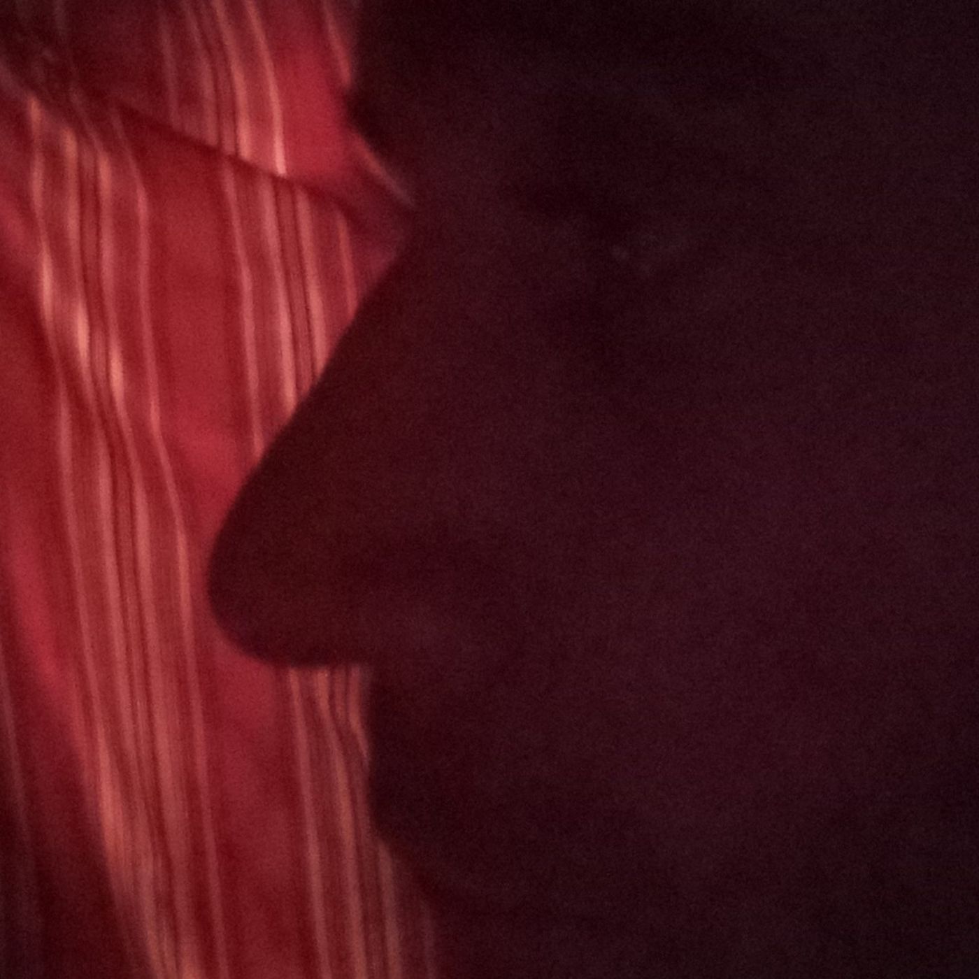 Dairon M López