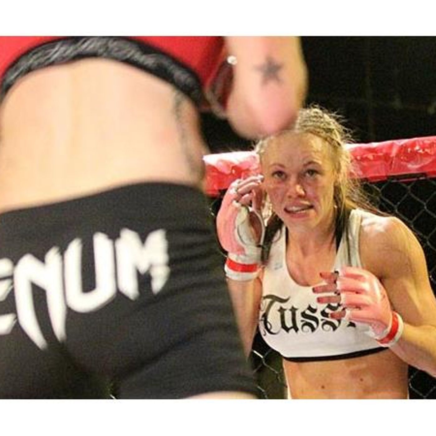 MMA Fighter Glena Avila Talks Slamdance; TUF 20 episode artwork