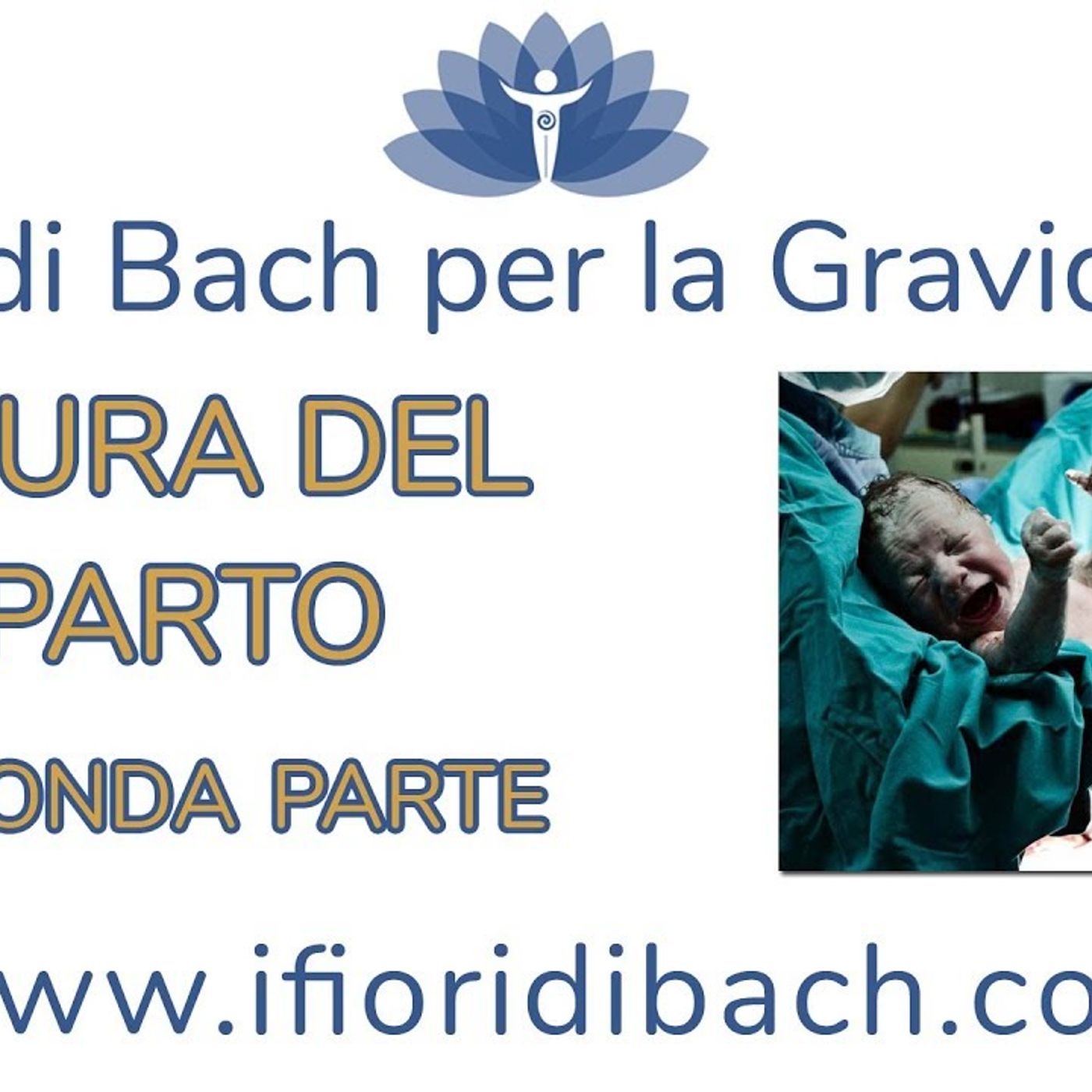 Fiori di Bach in pillole