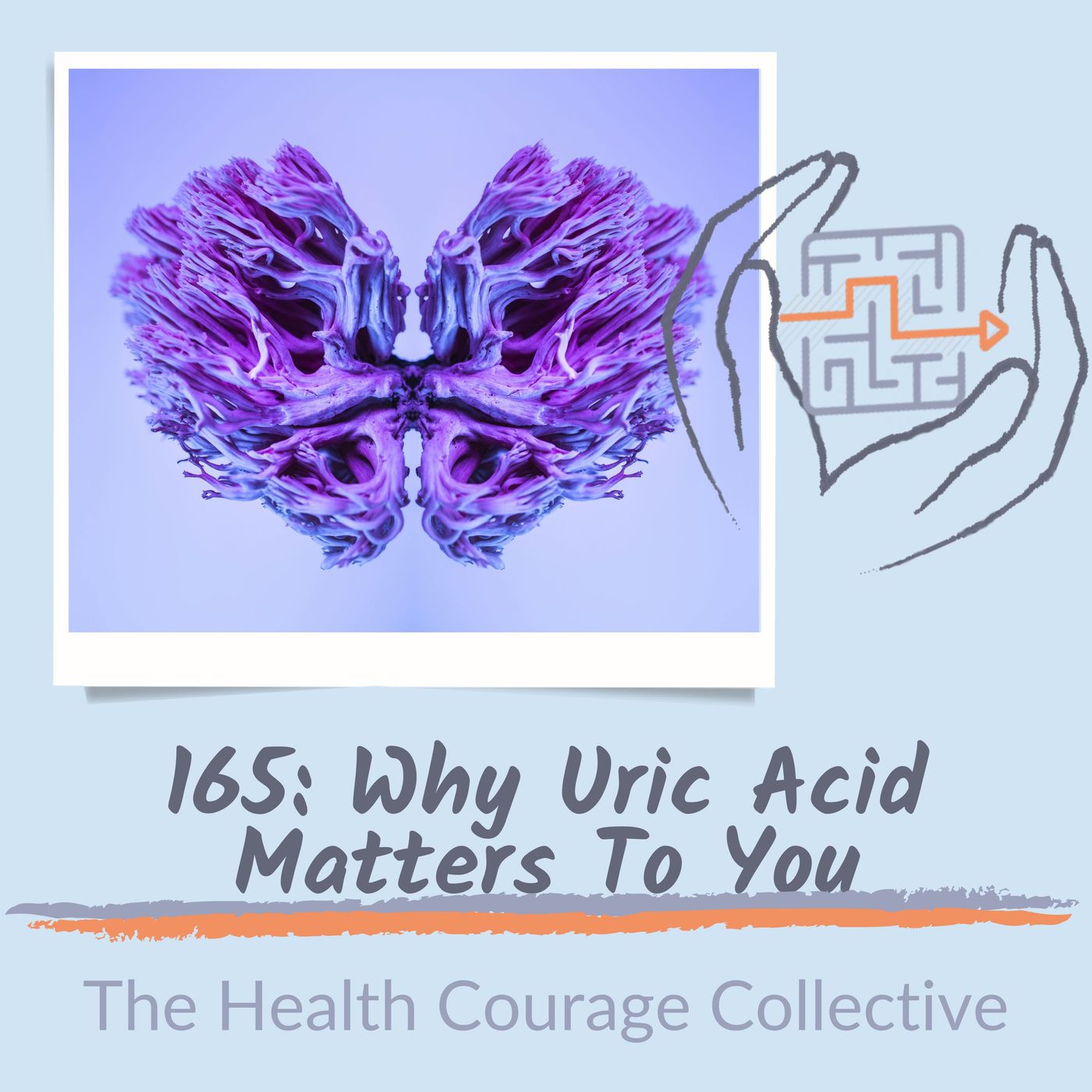 165: Why Uric Acid Matters to You episode artwork