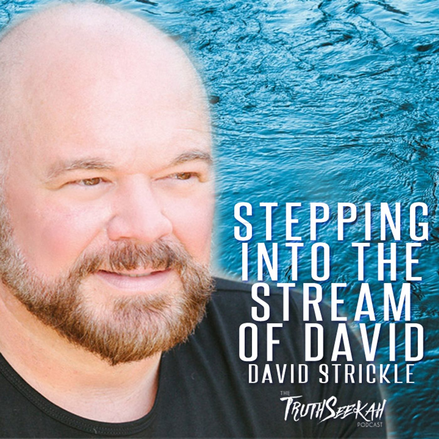 David Strickel | Stepping Into The Stream of David