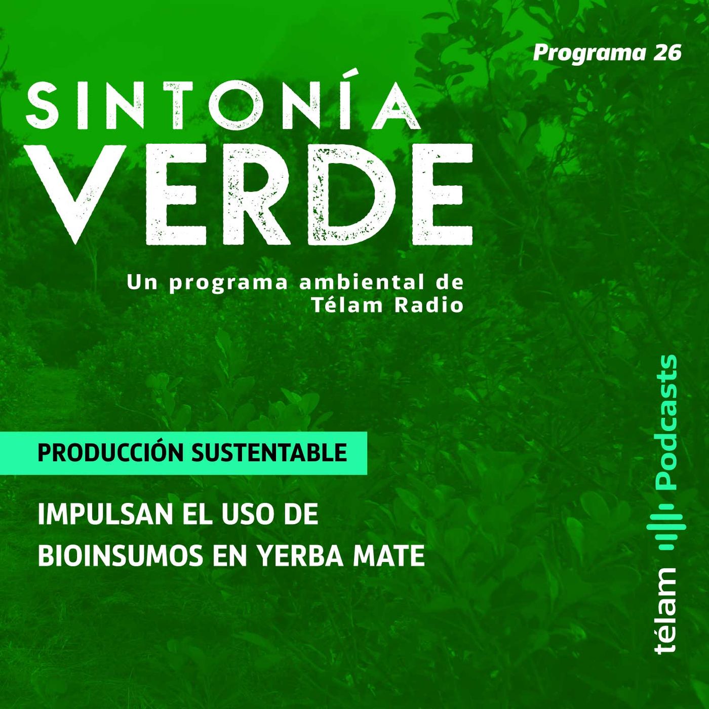 cover of episode Producción sustentable: Impulsan el uso de bioinsumos en yerba mate