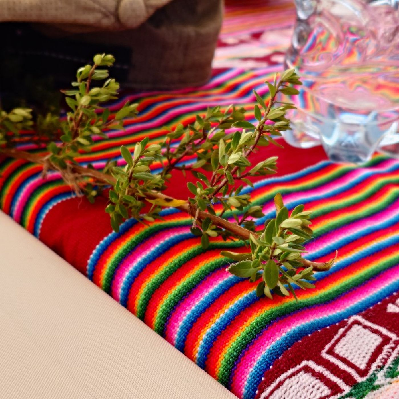 Ep354 - Diane's Tarot Diary: 我的塔羅日記 秘魯不思議•「食」在有意思-7(安地斯薄荷茶篇)