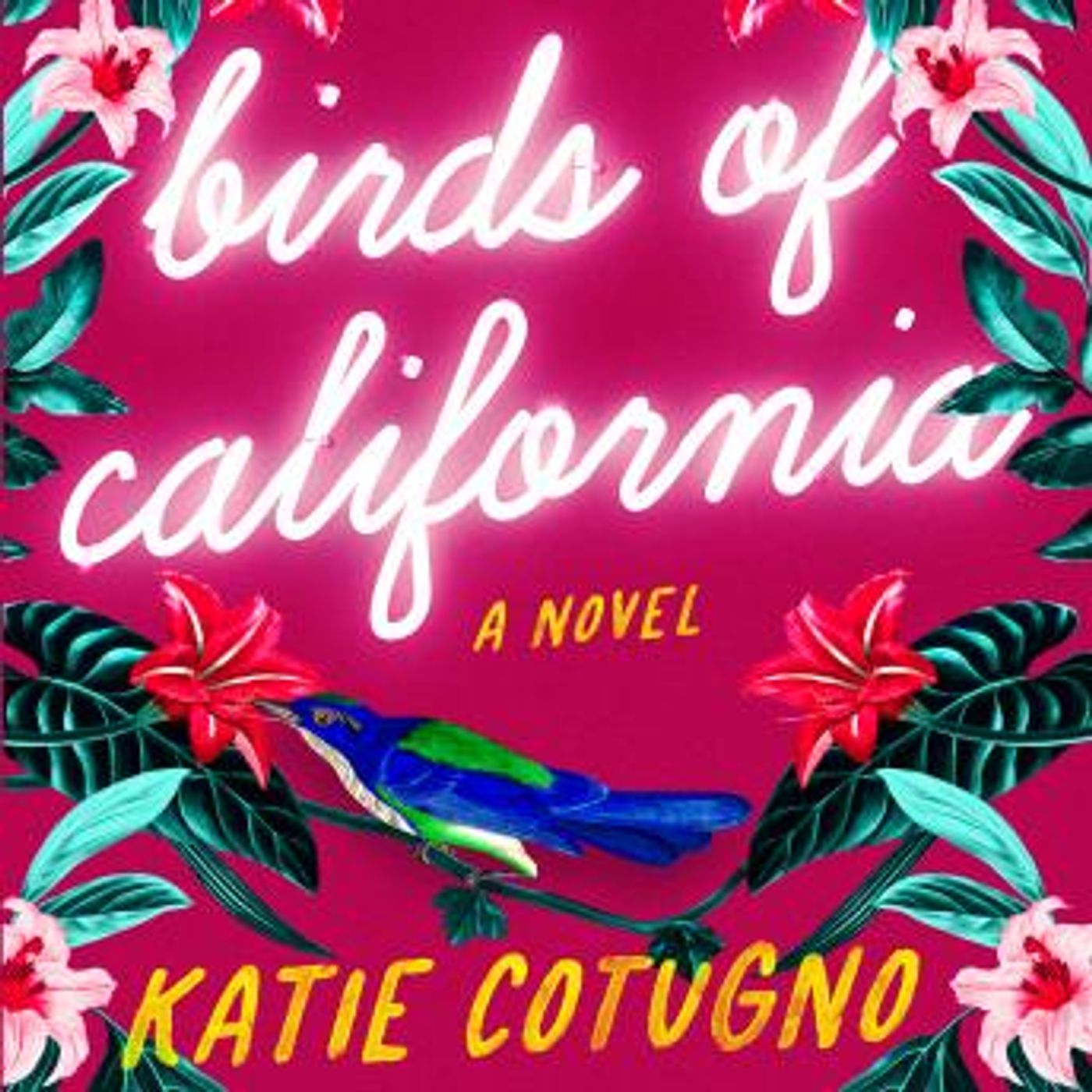 Listen to the Best Full Audiobooks in Fiction, Contemporary Women