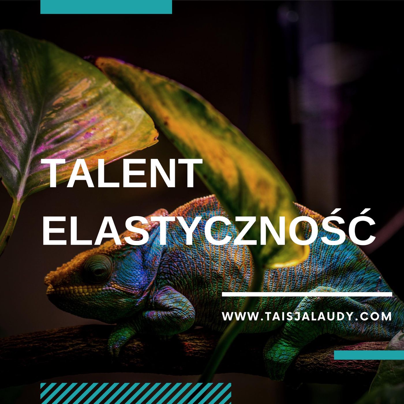 TAISJA LAUDY Podcast