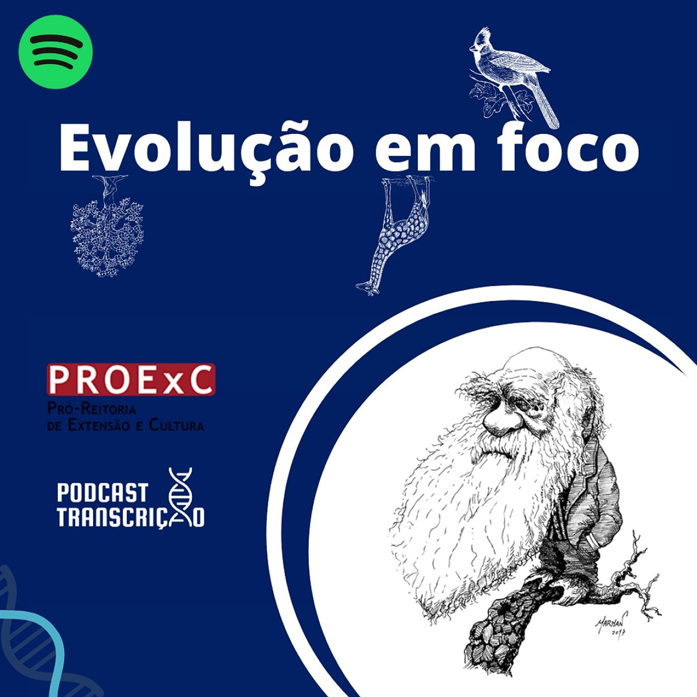 Podcast Transcrição
