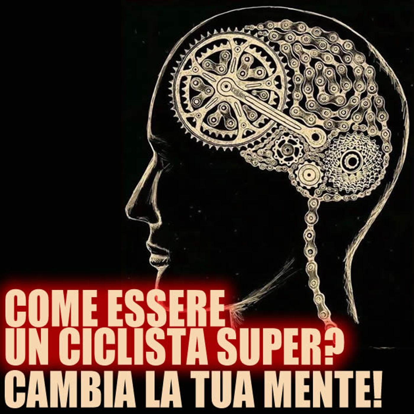 A Ruota Libera... 🚴