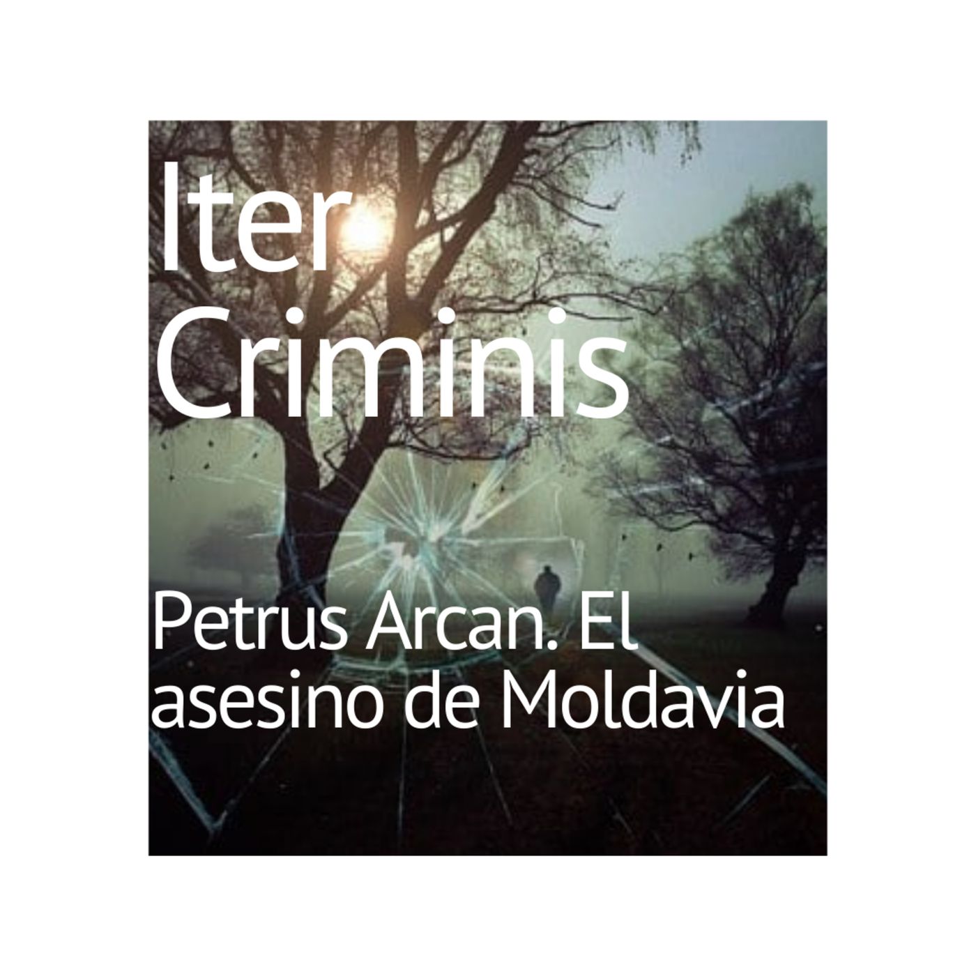 Iter Criminis. Camino al Delito. Introducción