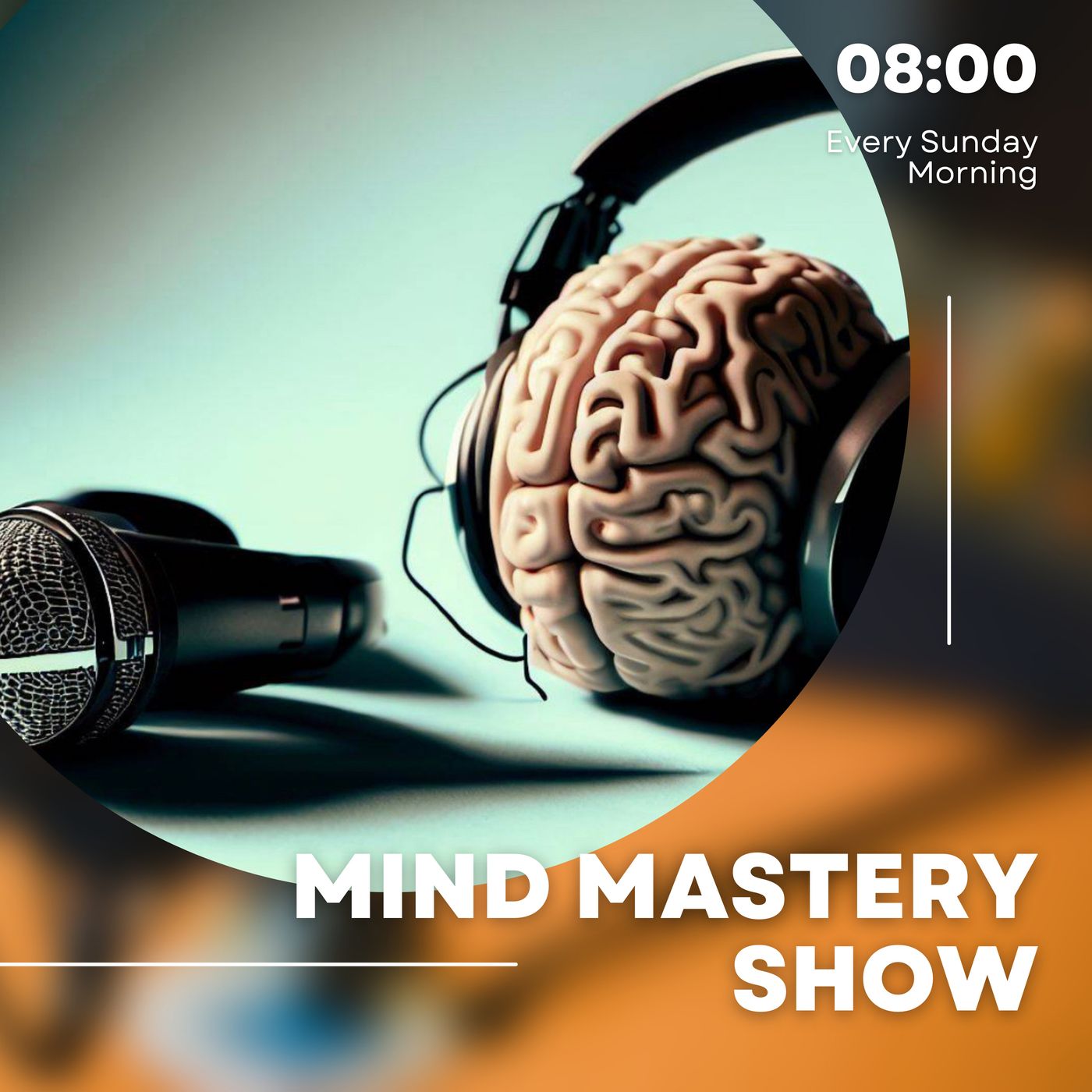Say No to your stressors- Assertive Approaches for Stress Management episode artwork