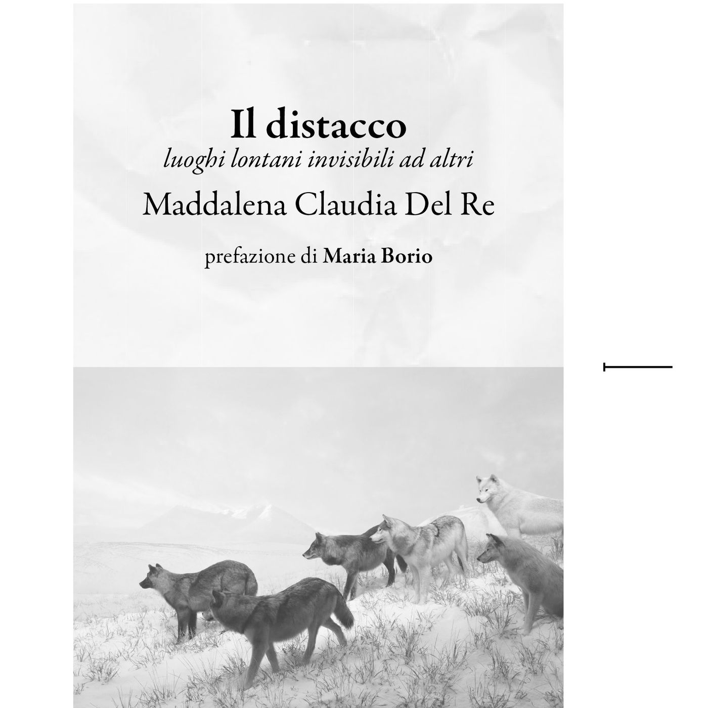 Maddalena Claudia Del Re "Il distacco"