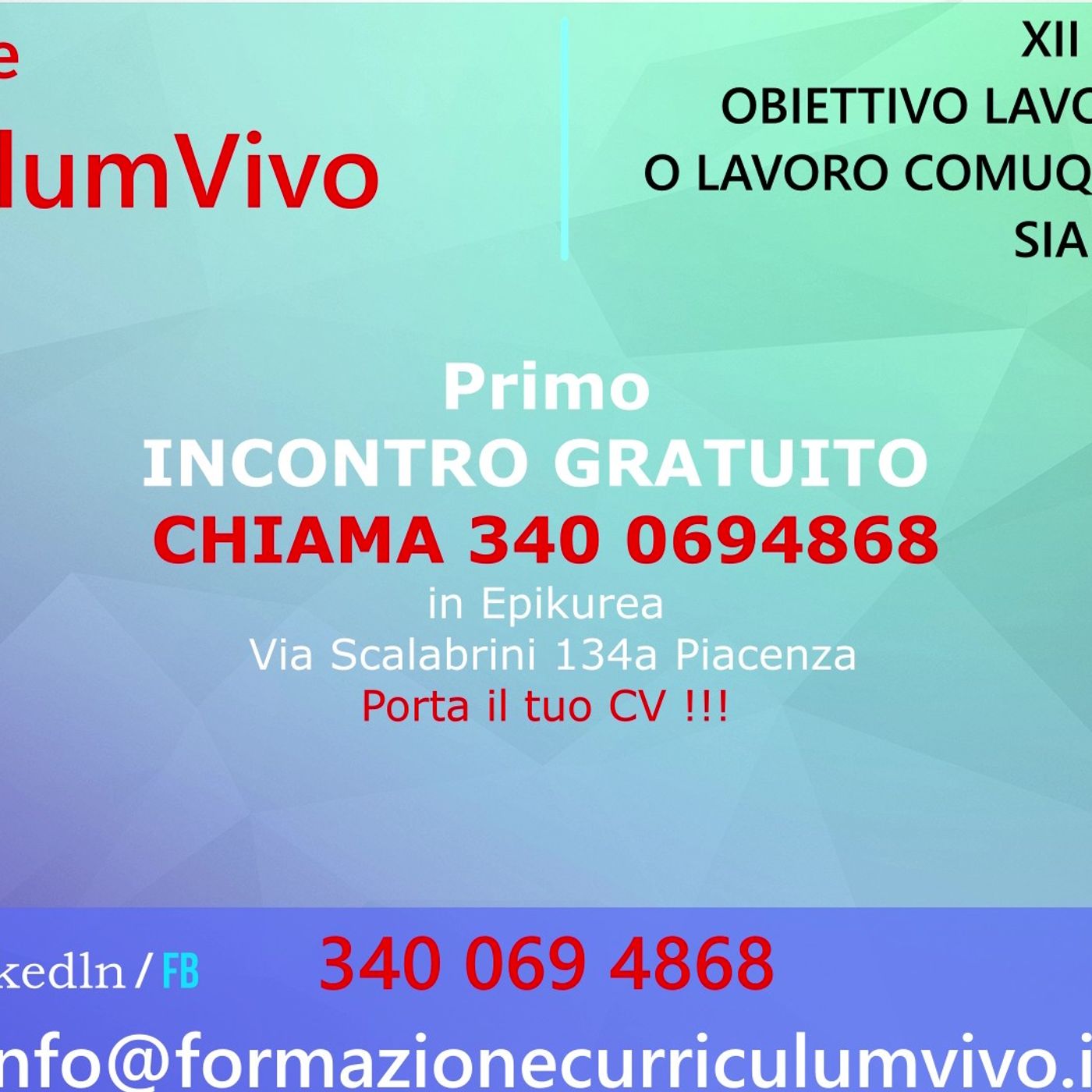 CV 12 Lavoro ad hoc o Lavoro qualunque sia cosa paga di più Formazione Curriculum Vivo Piacenza episode artwork