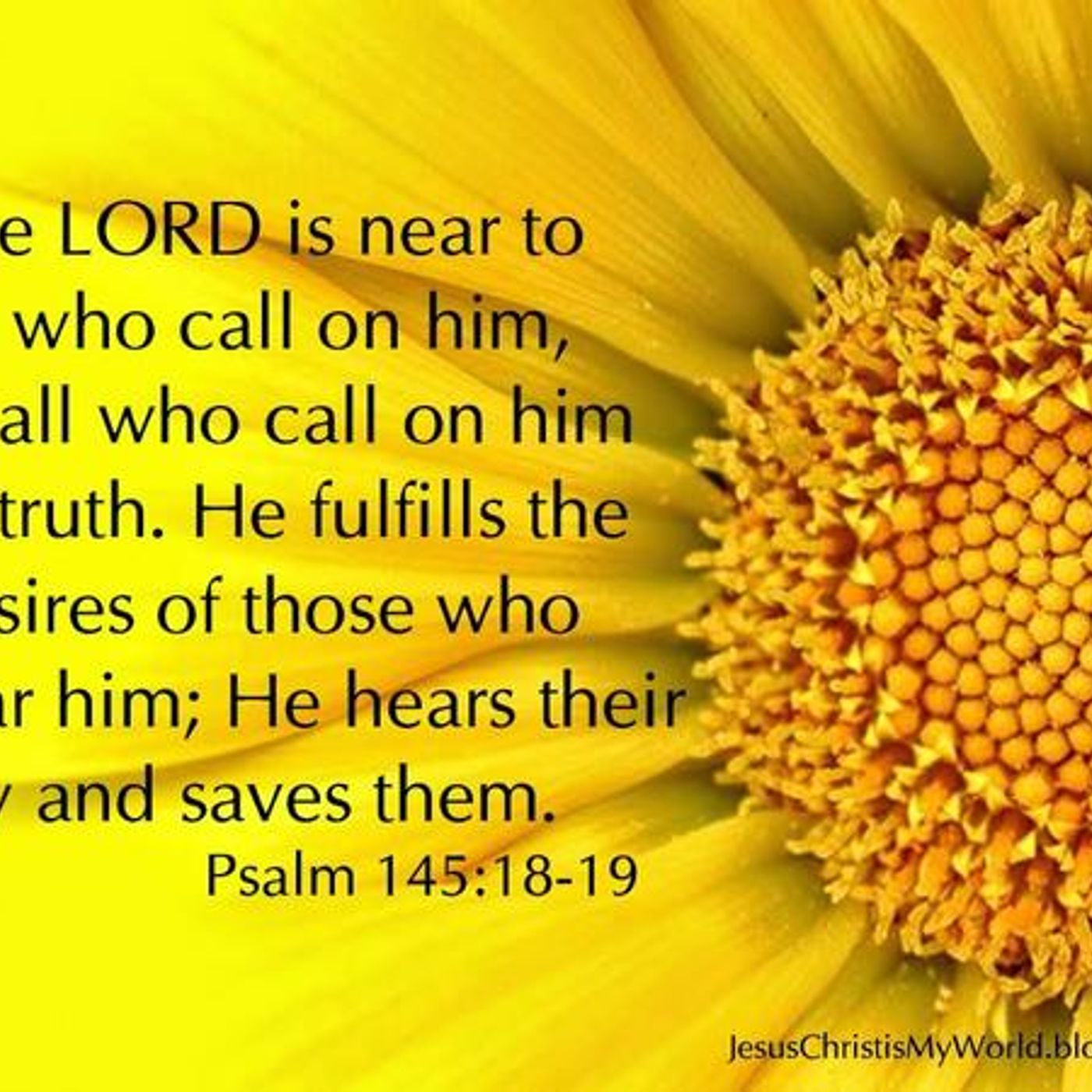 God And Those Who Fear Him (Part 3) Psalm 145:18-19 - S9 [B330] episode artwork