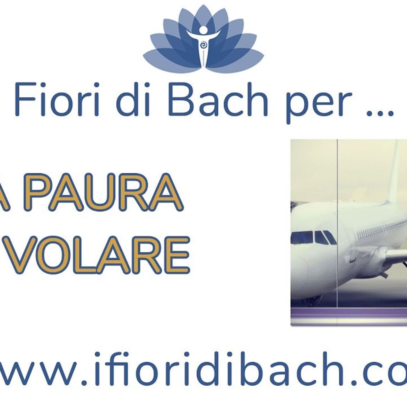 Fiori di Bach per la paura di volare episode artwork