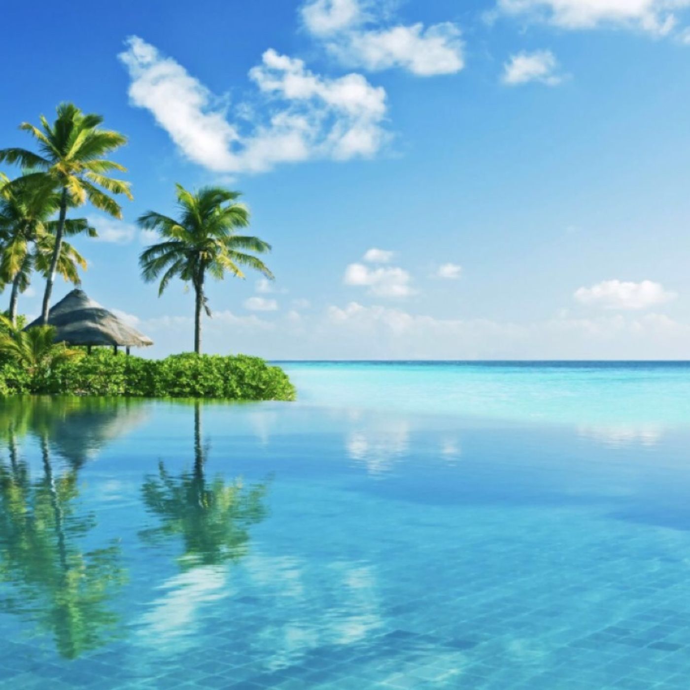 Fun Time With Sheen Rebitz