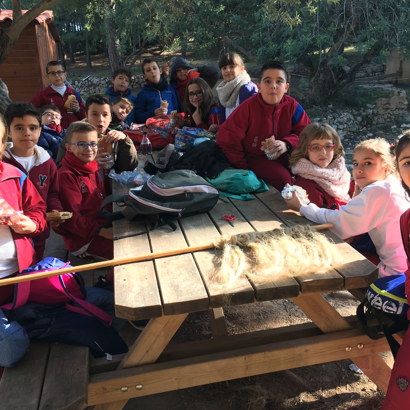 Programa MAGAZINE 5è