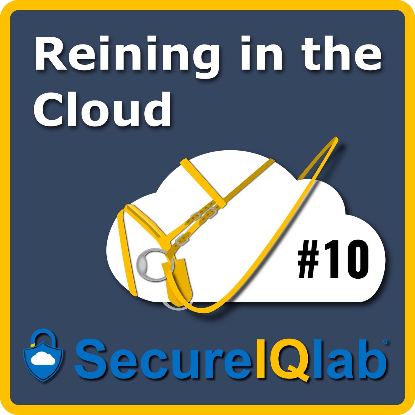 Reining in the Cloud