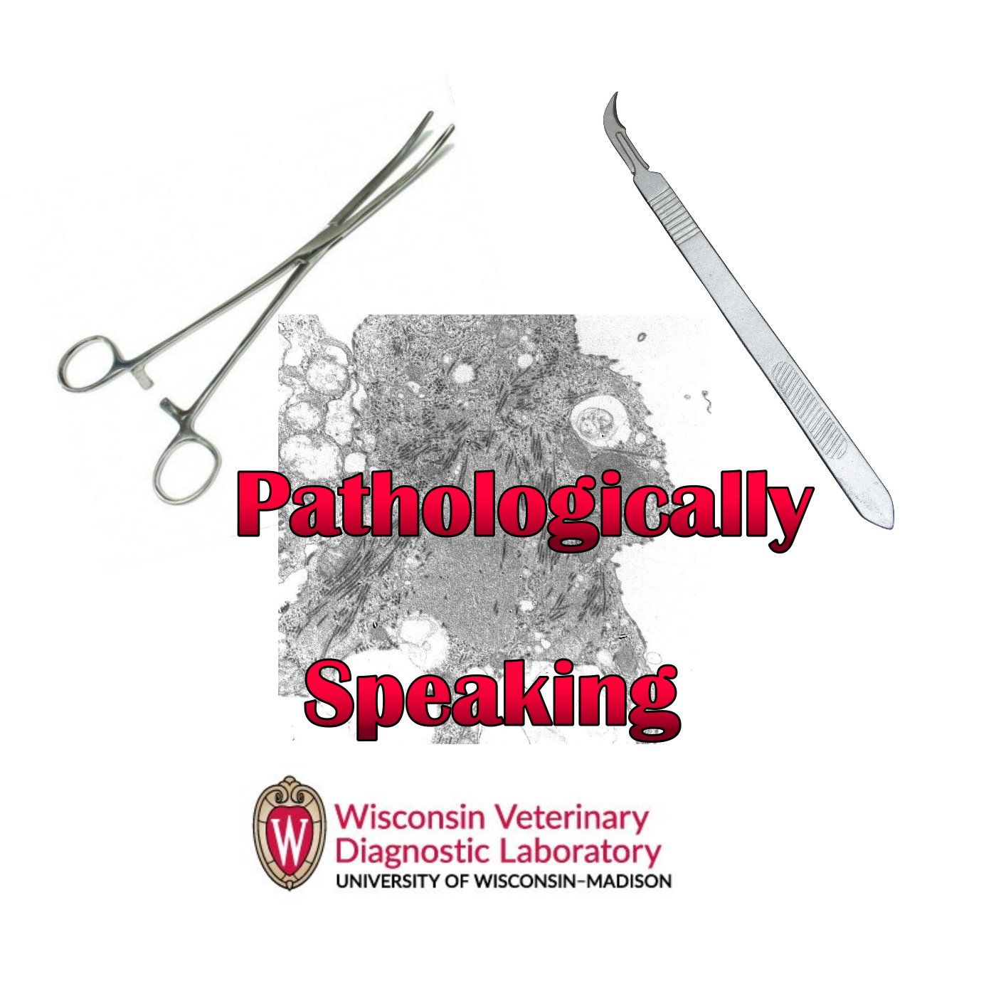 Pathologically Speaking
