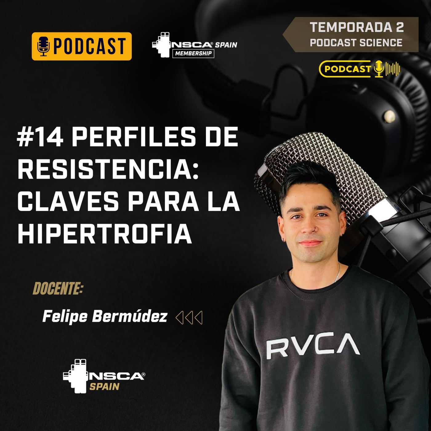 #14 Perfiles de resistencia: claves para la hipertrofia episode artwork
