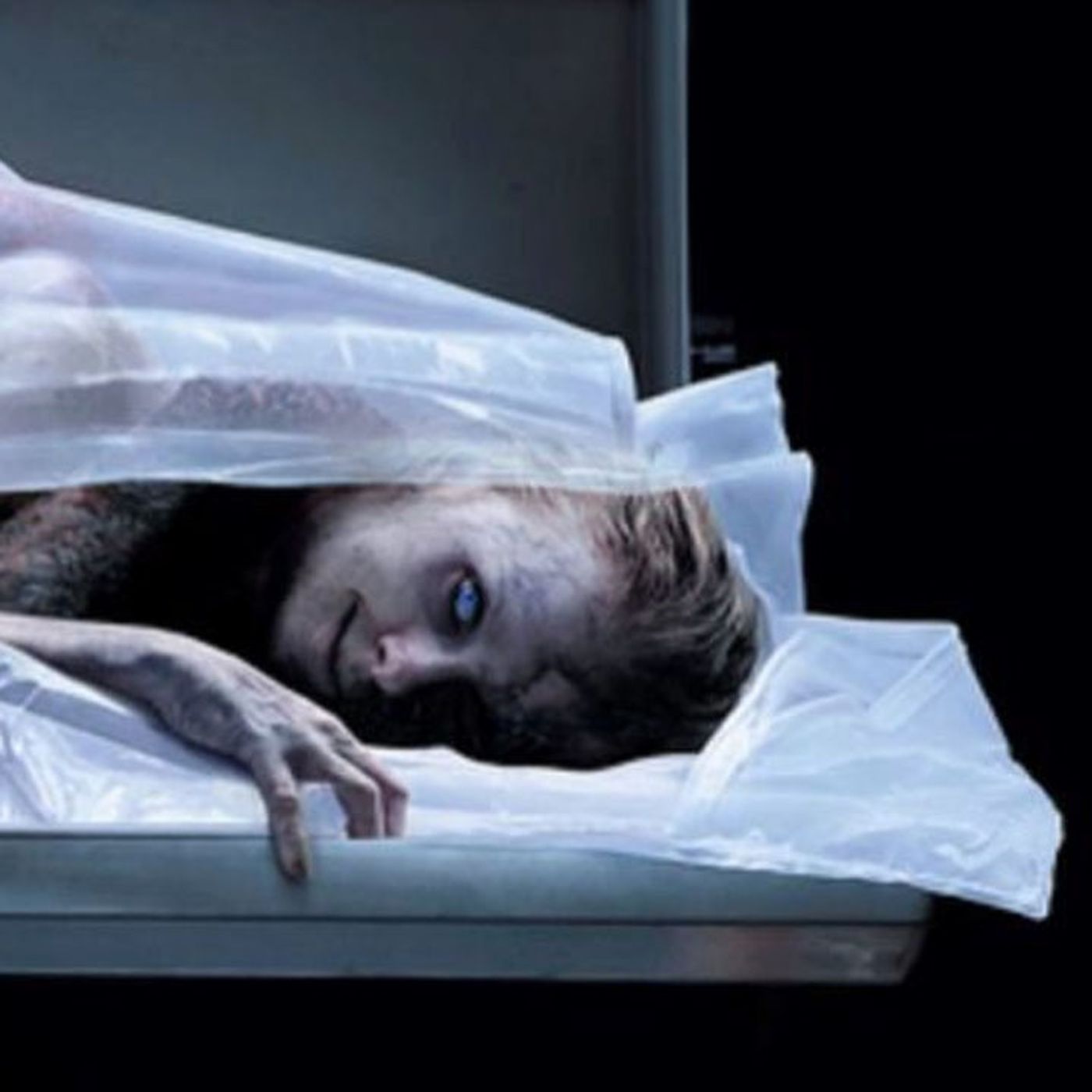 No Podrás Dormir Después De Ver Esto: Lo Que Encontramos Te Helará La Sangre 😱☠️- Voces De La Noche