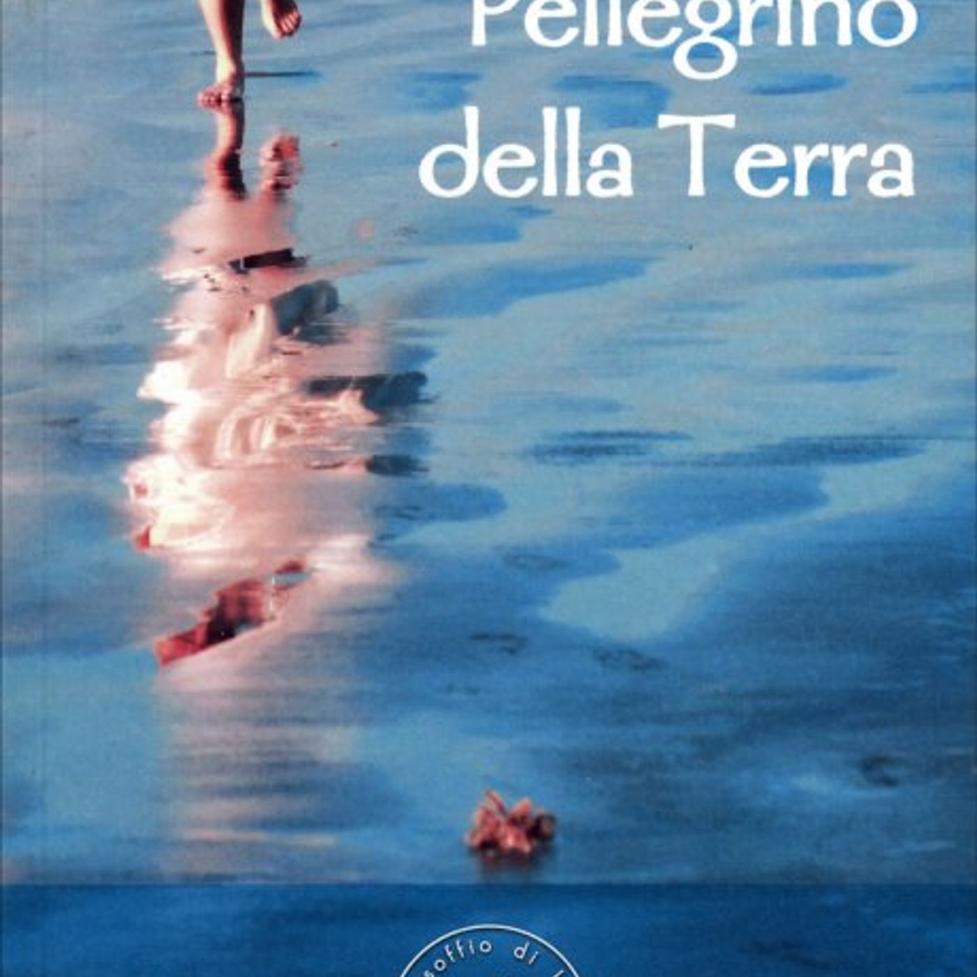Copertina di PELLEGRINO DELLA TERRA di Satish Kumar