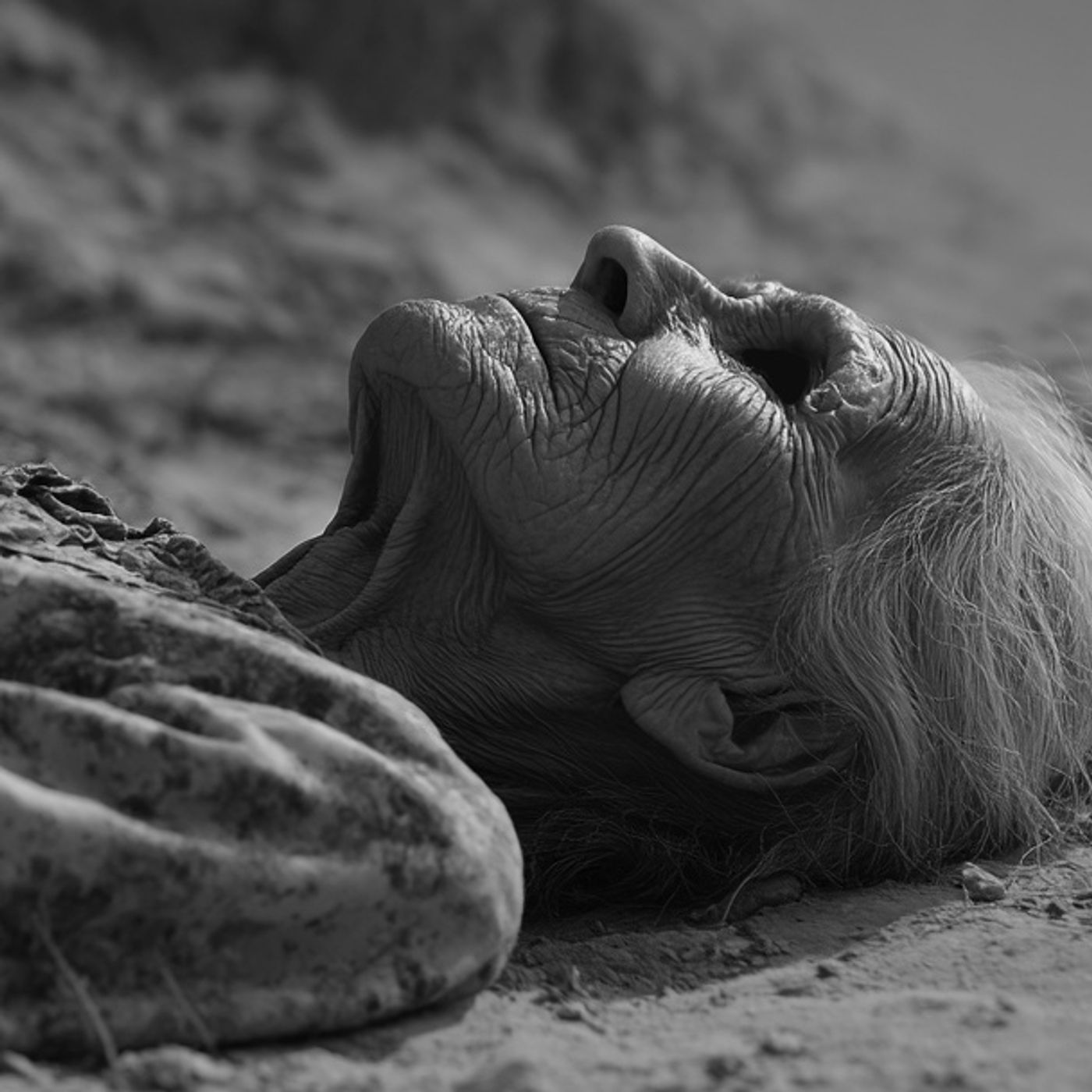 MIGRANTES Atacados Por Una BRUJA Historias De Terror - REDE