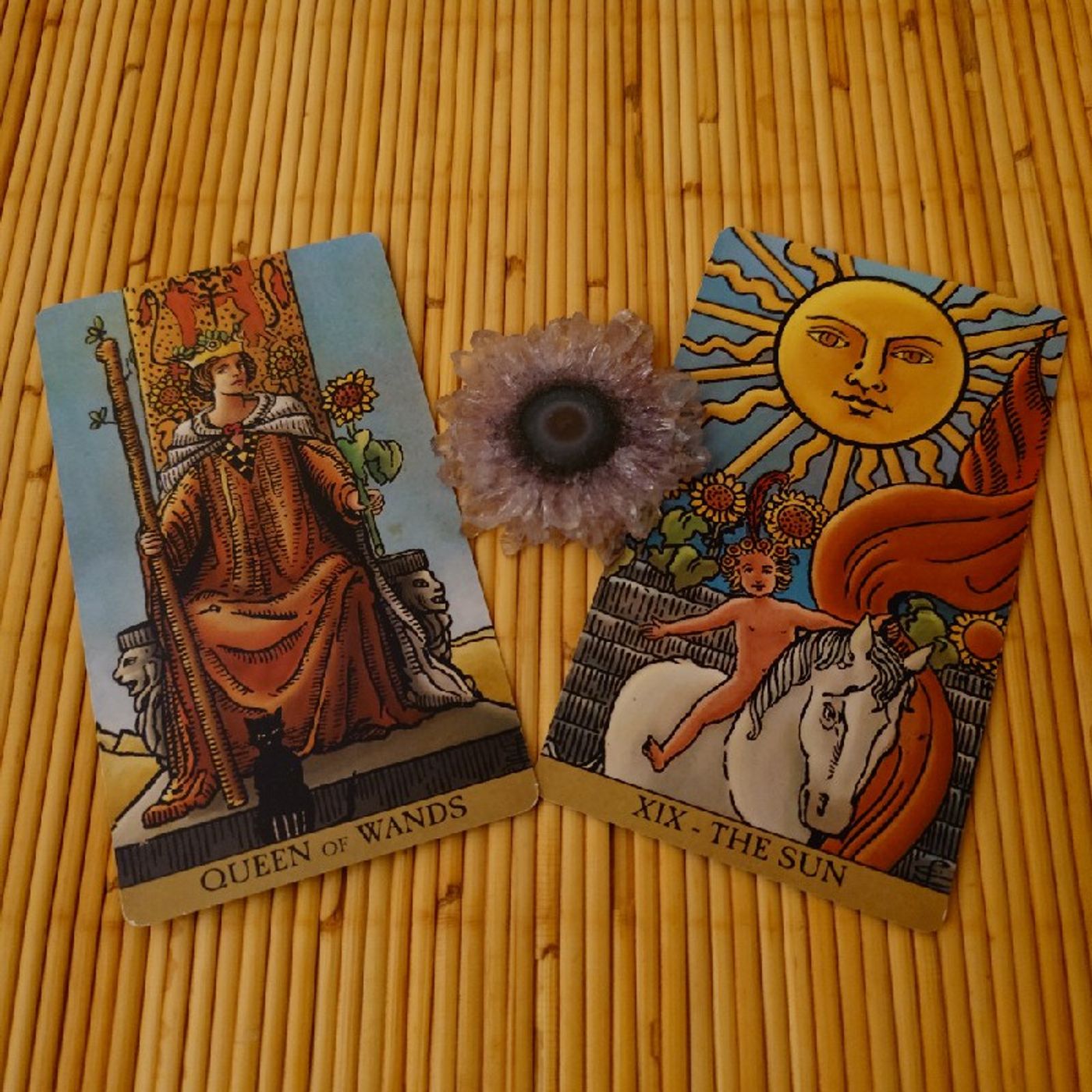 Ep219 - Diane's Tarot Diary: 我的塔羅日記 象徵與隱喻•植物-8(向日葵)