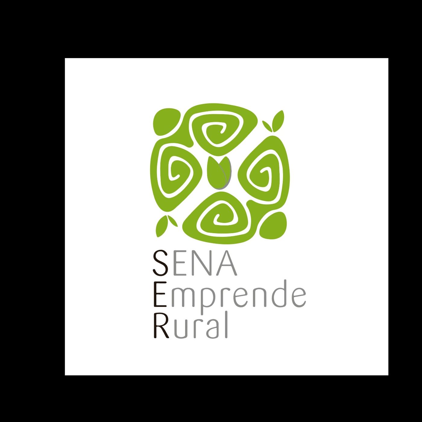 Emprendedor en Elaboración de Accesorios Artesanales con Recursos Naturales de la Región.