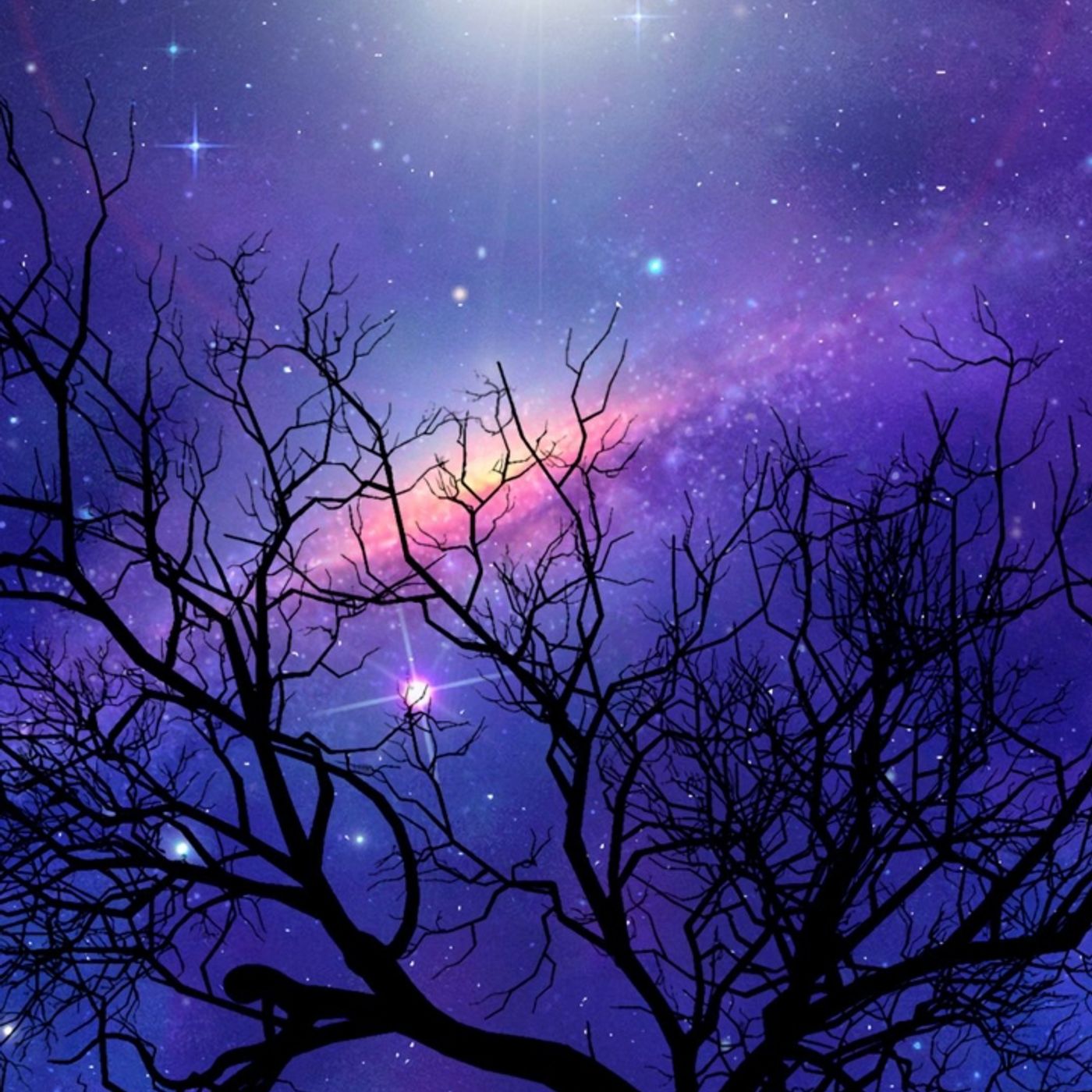 Lección 12 episode artwork