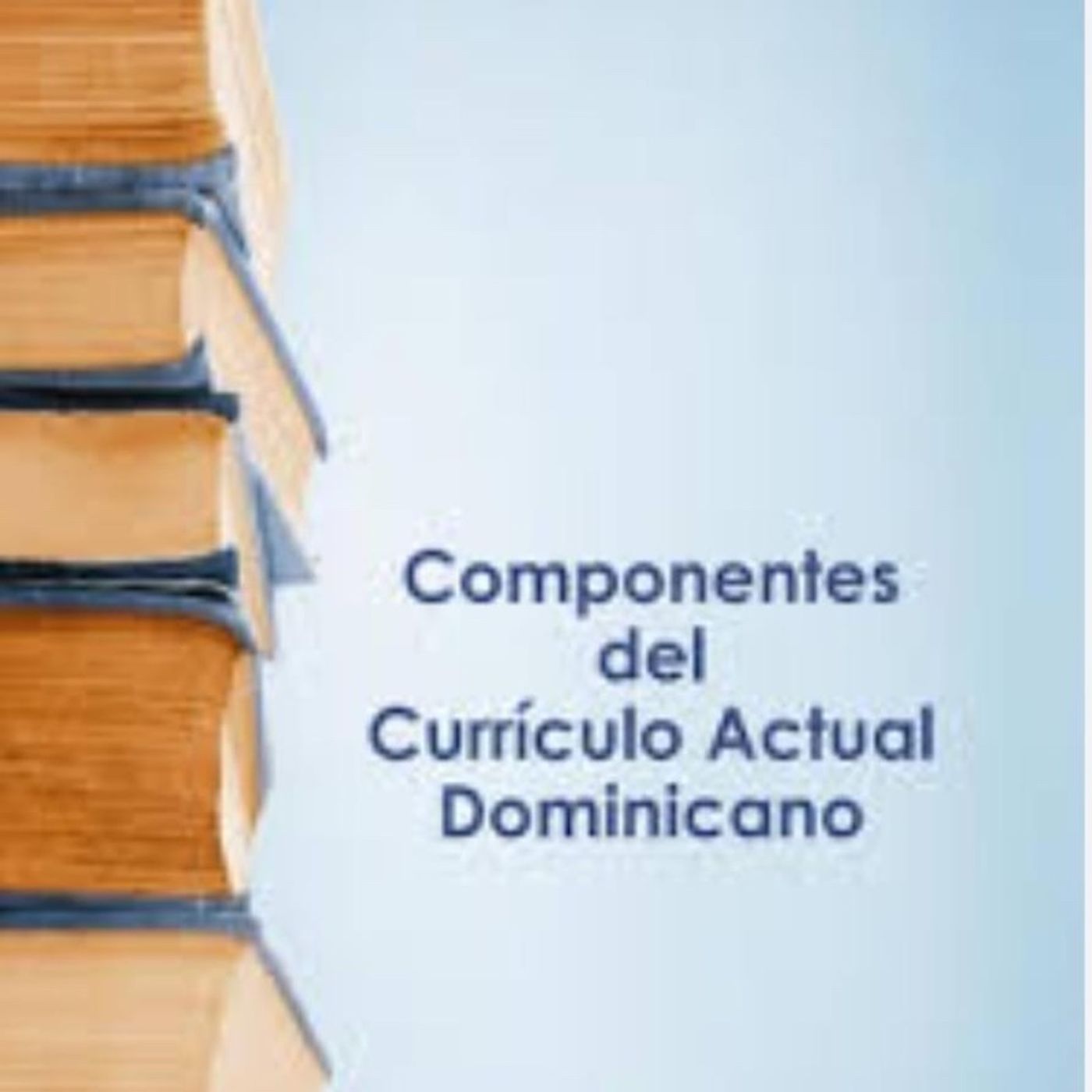 Reflexión de los componentes del diseño curricular episode artwork