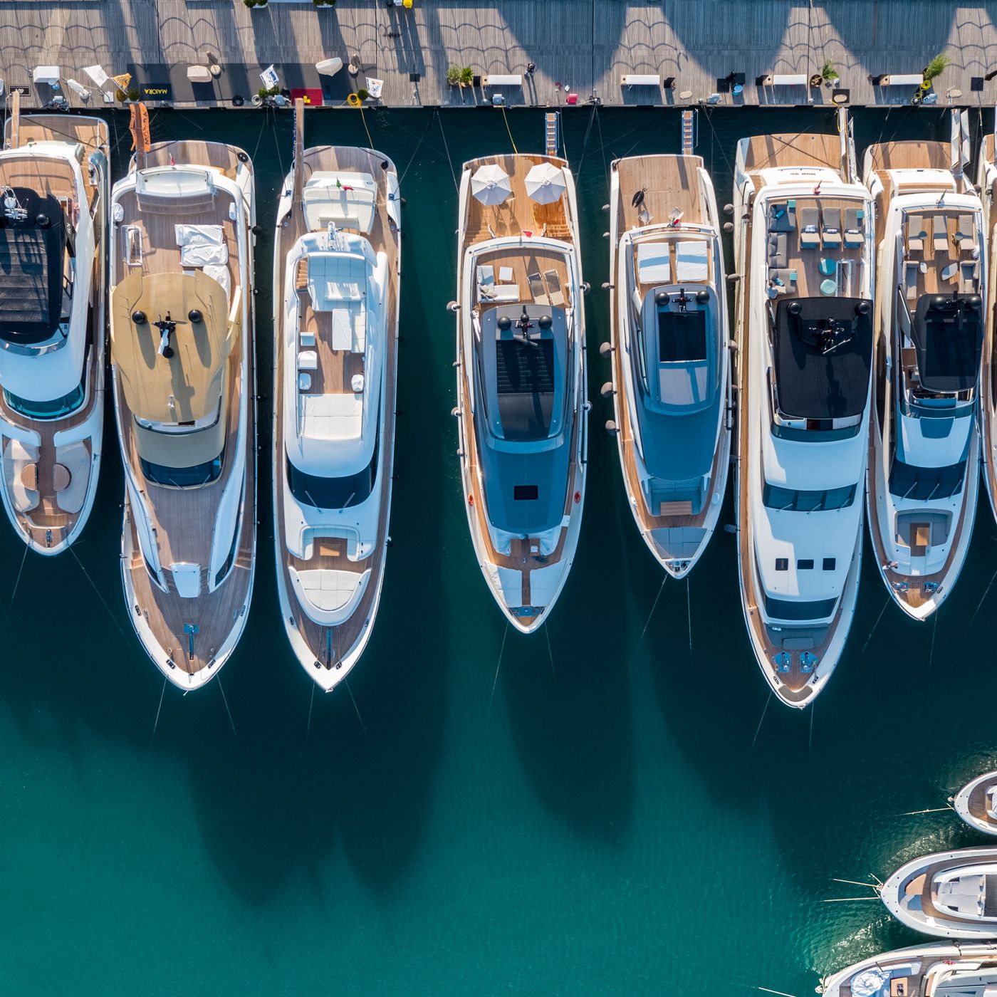 SailBiz\'s show