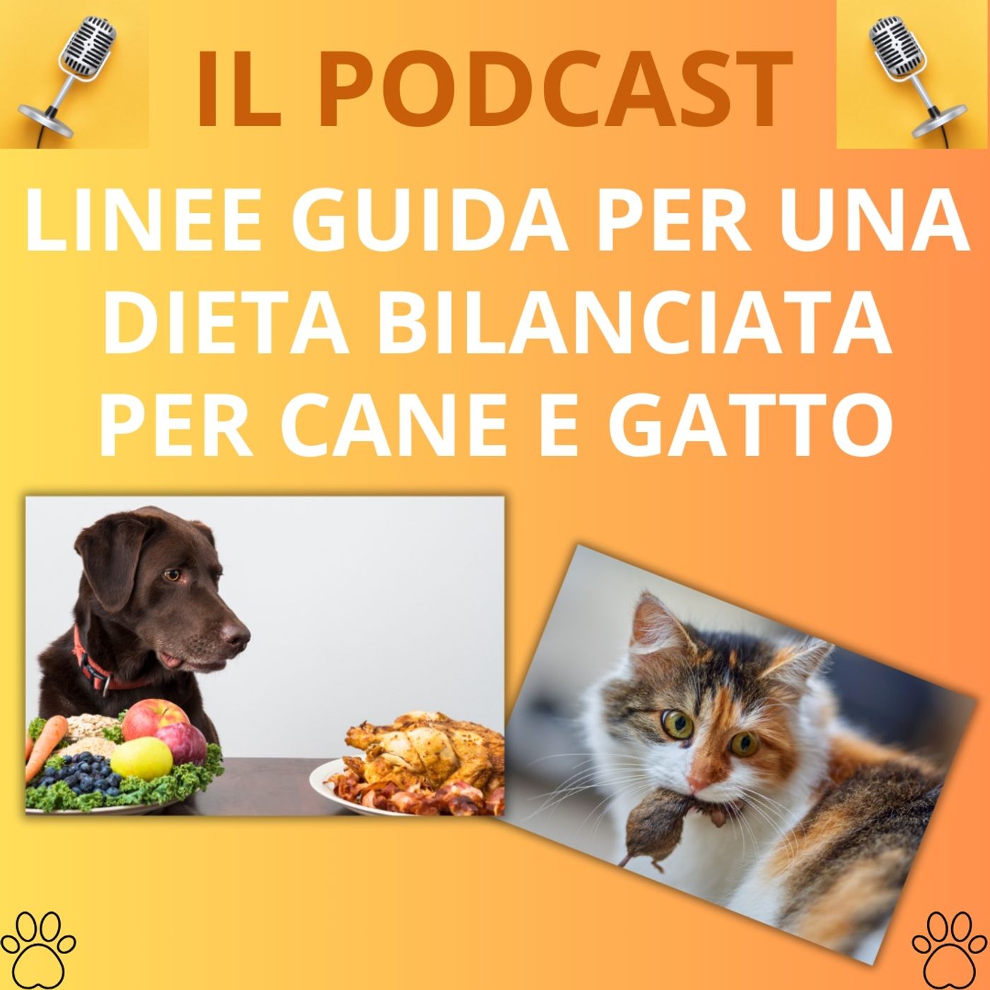 Cane&gatto: le domande più frequenti