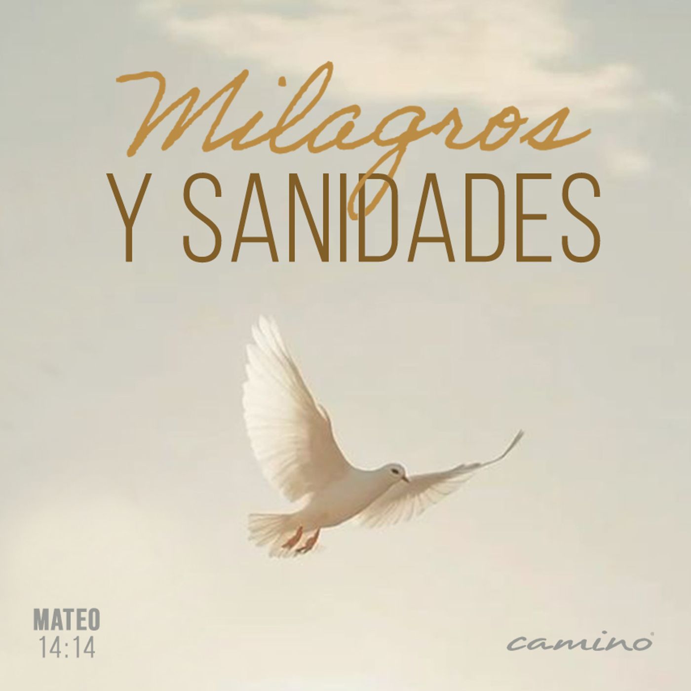 Oración 15 de octubre (Milagros y sanidades) episode artwork
