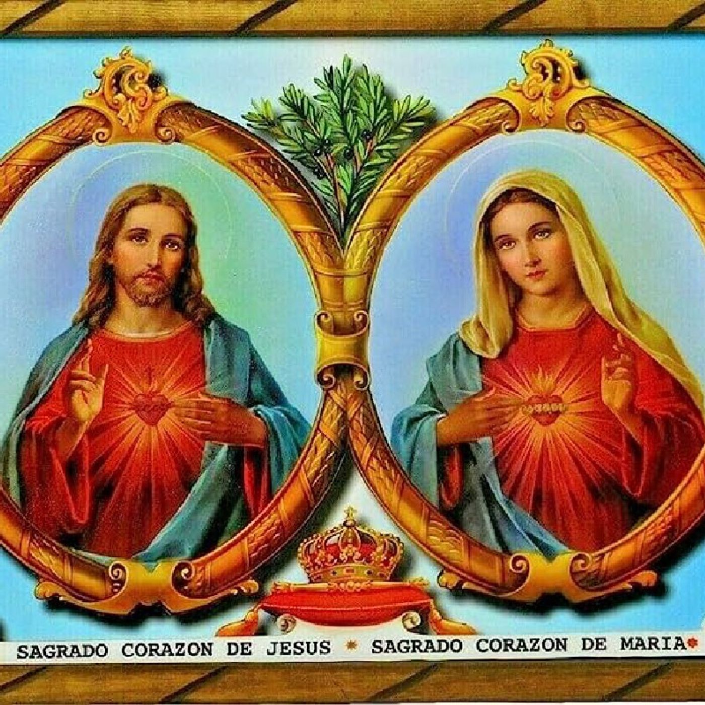 La Reflexión del Día "Corazón Inmaculado de María, morada del Sagrado Corazón de Jesús" episode artwork