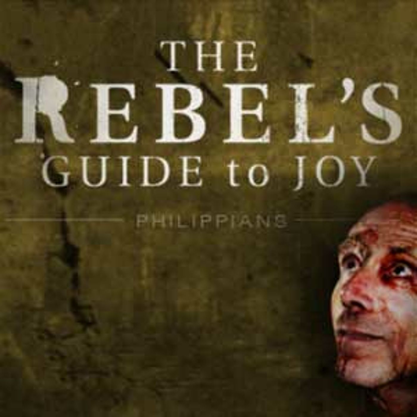 Rebels Guide To Joy